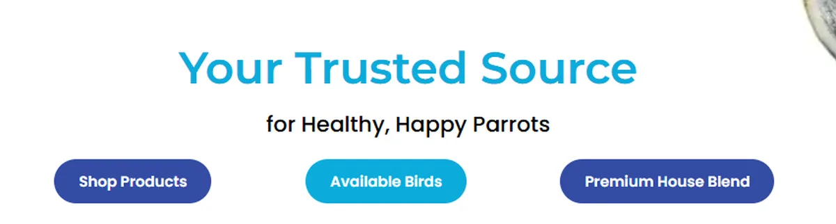 Three entry points on the Dallas Parrots homepage: shop products, available birds and premium house blend
