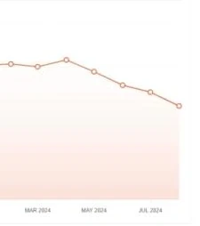 Chart detail showing the early 2024 peak followed by a decline toward July 2024