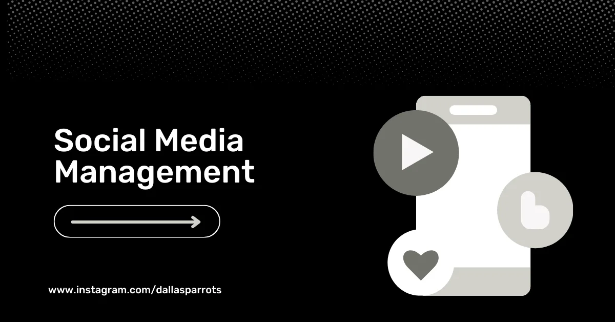 Case Studies SEO Manager Digital Marketer